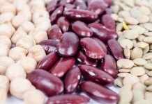 ¿Qué es la Dieta Macrobiótica? ¿Qué es la Dieta Macrobiótica?