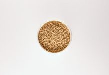 Descubre los principales beneficios del amaranto principales beneficios del amaranto