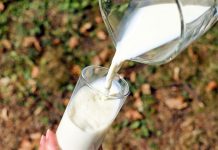 Conoce los beneficios de la leche de alpiste para la diabetes Conoce los beneficios de la leche de alpiste para la diabetes