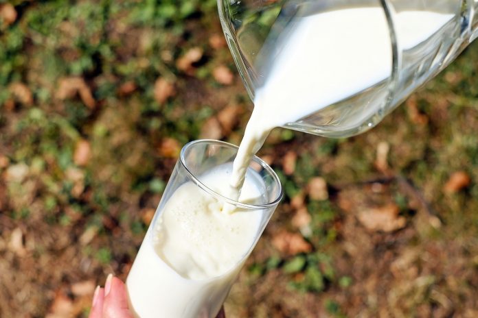 Conoce los beneficios de la leche de alpiste para la diabetes
